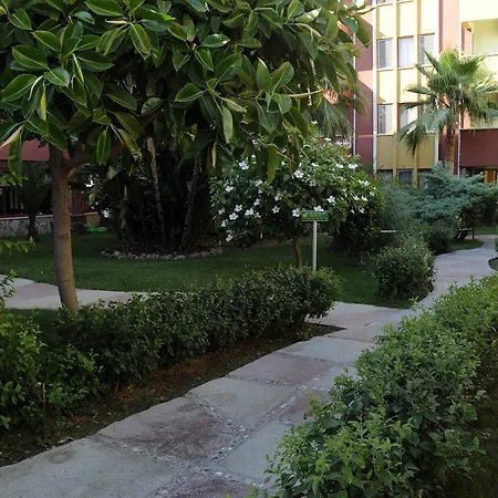 Saritas Hotel Only Family Concept-2